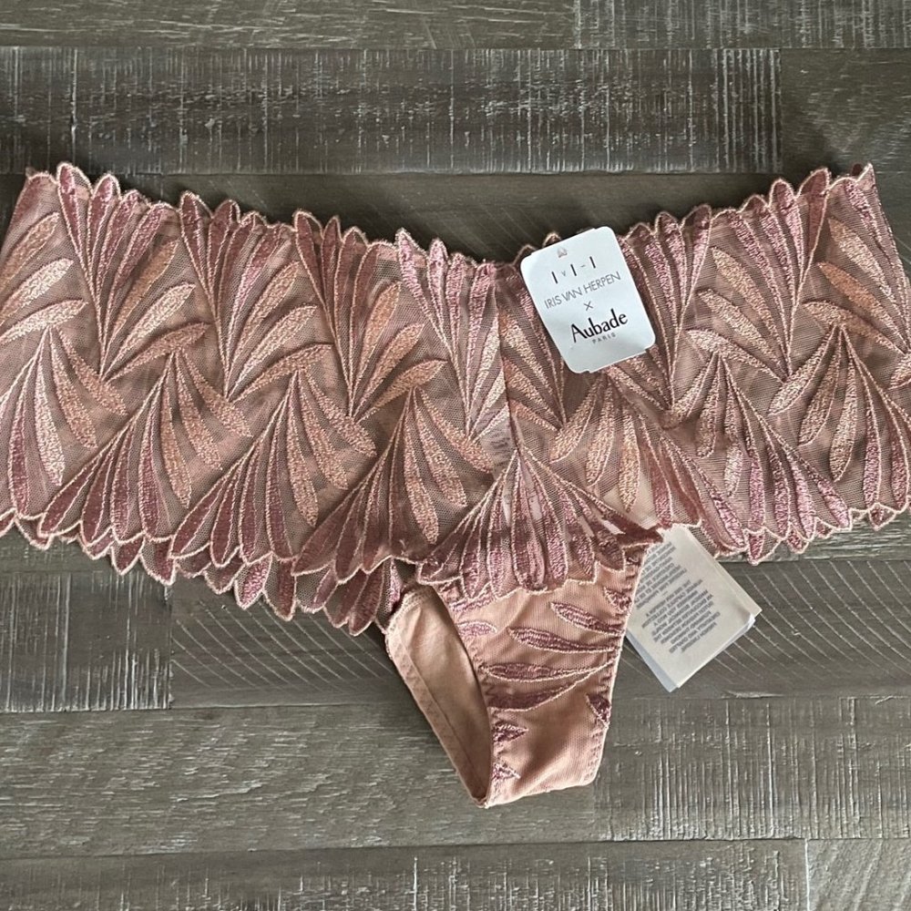 AUBADE PARIS SENSORY ILLUSION CHEEKY BRIEF, SILK ROSE, SIZE SMALL